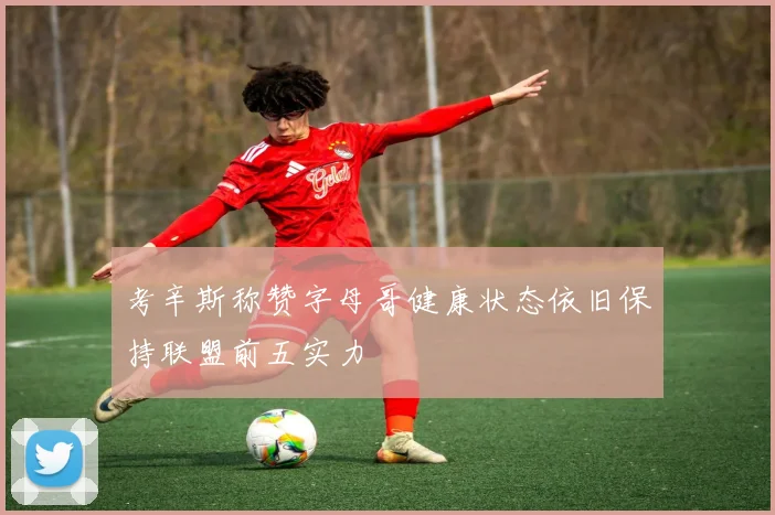 考辛斯称赞字母哥健康状态依旧保持联盟前五实力