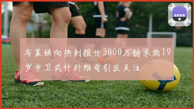 布莱顿向热刺报价3000万镑求购19岁中卫武什科维奇引发关注